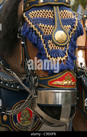 Faisceau cheval Paulaner vu à la cérémonie d'ouverture de l'Oktoberfest, la fête de la bière à Munich, Allemagne. Banque D'Images