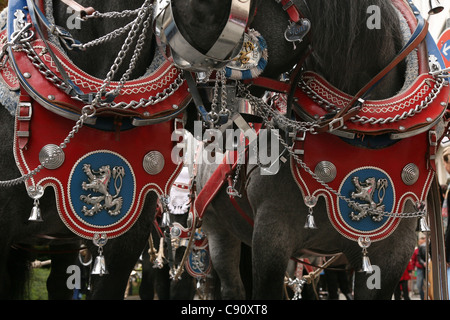 Lowenbrau faisceau cheval vu à la cérémonie d'ouverture de l'Oktoberfest, la fête de la bière à Munich, Allemagne. Banque D'Images