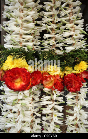 Des couronnes de fleurs en Inde sont traditionnelles guirlandes faite pour des cérémonies religieuses et des occasions spéciales comme des offrandes au temple. Banque D'Images