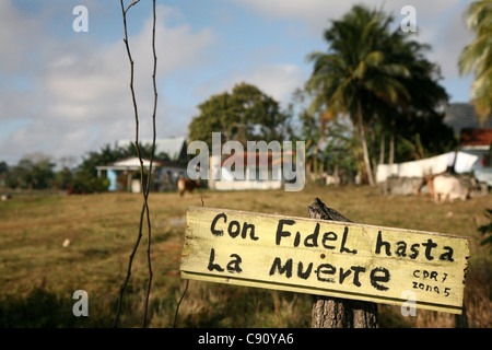 Avec Fidel Castro jusqu'à la mort ! Slogan installé à côté de la route de la ville de Viñales, Cuba. Banque D'Images