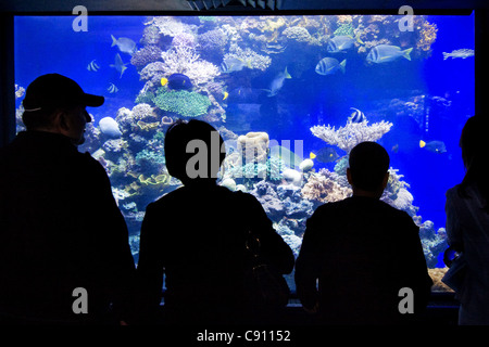 Les visiteurs de l'observatoire sous-marin Parc Marin d'Eilat Israel Banque D'Images