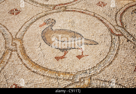 Caesaria est une ville moderne à la périphérie de Césarée Maritima l'ancienne ville portuaire. De nombreux vestiges de la Rome antique Banque D'Images