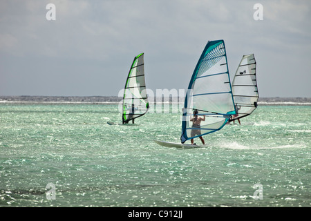 Les Pays-Bas, l'île de Bonaire, Antilles néerlandaises, Kralendijk, Lac Bay. La planche à voile. Banque D'Images