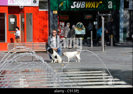 Homme avec 2 chiens assis sur un banc de la place du château de Caernarfon gwynedd North Wales UK Banque D'Images