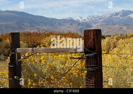 Clôture rustique à la limite d'un ranch dans l'Est à l'automne avec des montagnes sierras en arrière-plan. Banque D'Images