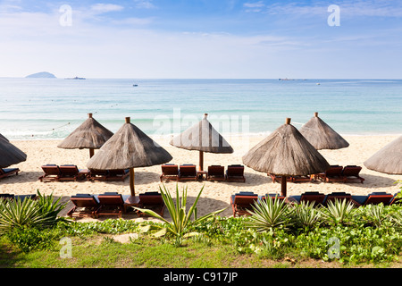 Chaises longues et parasols à la plage Banque D'Images