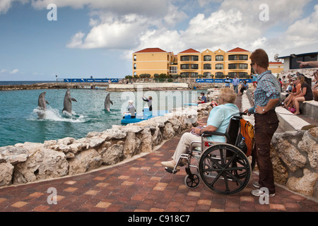 Curaçao, île des Caraïbes, indépendante des Pays-Bas depuis 2010. Willemstad. L'Aquarium de mer. Spectacle de dauphins. Banque D'Images