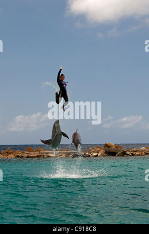 Curaçao, île des Caraïbes, indépendante des Pays-Bas depuis 2010. Willemstad. L'Aquarium de mer. Spectacle de dauphins. Banque D'Images