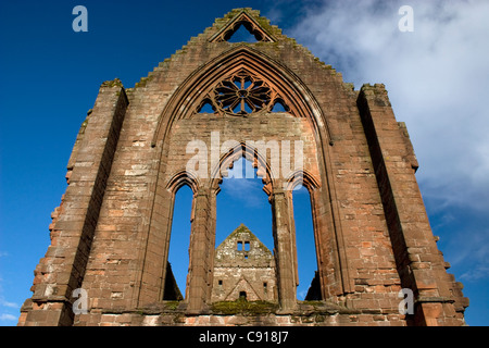 Abbaye de Sweetheart en Dumfries & Gallowayis une ruine construite au 12ème siècle et un monument ecclésiastique. Les gothis windows sont Banque D'Images