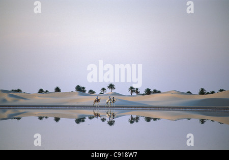 Algérie. Village près de Ouargla, dans la Sandsea orientale.(Grand Erg Oriental). Désert du Sahara. Chameaux près du lac salé dunes de sable Banque D'Images