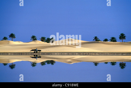 Village d'Algérie, Ouargla, Sandsea de l'est. Désert du Sahara. Chariot à âne, petit garçon et palmier près du lac salé dunes de sable. Banque D'Images