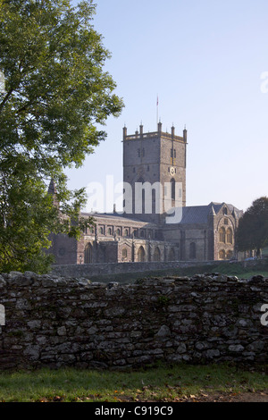 La cathédrale construite en pierre de St Davids Eglwys Gadeiriol Tyddewi a été construit en 1181 et reconstruit après un tremblement de terre Banque D'Images