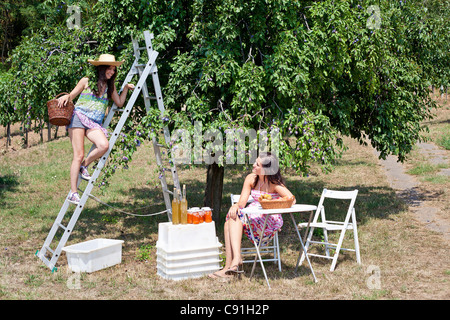 Pique-nique dans un verger femmes Banque D'Images