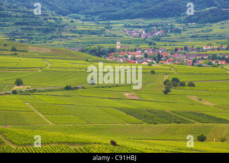 Vue sur vignes et Oberrotweil à Bickensohl, Kaiserstuhl, Bade-Wurtemberg, Allemagne, Europe Banque D'Images