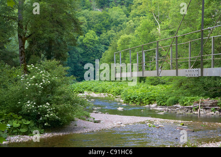 Canyon de la rivière Wutach (Wutachschlucht), Ruemmelesteg (pont), Forêt-Noire, Bade-Wurtemberg, Allemagne, Europe Banque D'Images