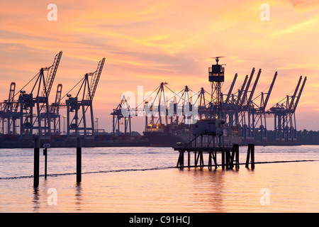 Vue vers la borne Burchardkai au coucher du soleil, le port de Hambourg, ville hanséatique de Hambourg, Allemagne, Europe Banque D'Images