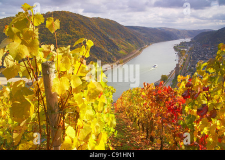 Vue depuis la maison Guenderode à Oberwesel Patrimoine culturel du monde : Oberes Mittelrheintal (depuis 2002) du Rhin Mittelrhein Banque D'Images