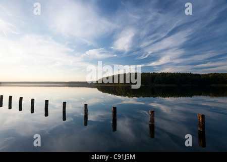 Lac Stechlinsee sous ciel assombri à 33 dans le pays de Ruppin, Brandenburg, Germany, Europe Banque D'Images