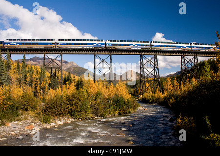 Riley Creek coule sous le chevalet comme un train Alaska Railroad et Holland America's McKinley Explorer traverse, Alaska Banque D'Images