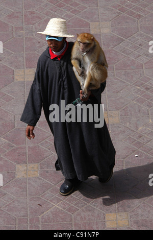 Entraîneur des animaux avec un macaque de Barbarie (Macaca sylvanus) à la place Jemaa el-Fna à Marrakech, Maroc. Banque D'Images