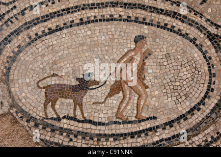 Hercule et Cerbère. Mosaïque romaine de la maison des travaux d'Hercule à Volubilis, Maroc. Banque D'Images