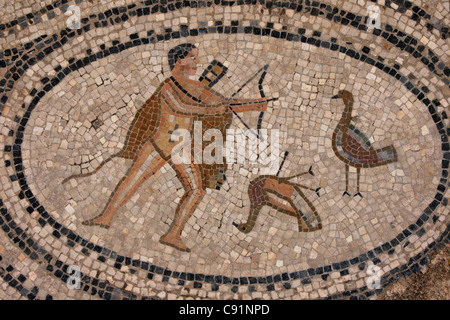 Hercule et le Stymphalian oiseaux. Mosaïque romaine de la maison des travaux d'Hercule à Volubilis, Maroc. Banque D'Images