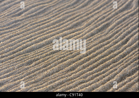 Les modèles sur la plage de sable Banque D'Images