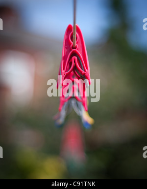 Pegs hanging sur une ligne de lavage, un gros objet tourné avec un faible aperture Banque D'Images