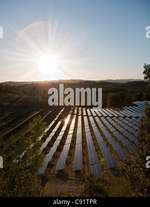 Vue aérienne du champ de panneaux solaires Banque D'Images