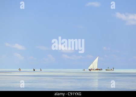 À marée basse, les pêcheurs, Jambiani Zanzibar Banque D'Images