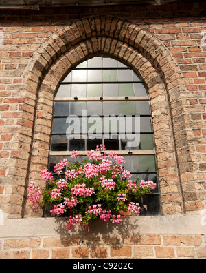 Fenêtres gothiques ornés peuvent être vues partout beaucoup de Bruges avec de jolies jardinières de géraniums et autres fleurs. Banque D'Images