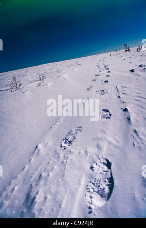 Empreintes dans la neige menant au loin dans la distance. Les montagnes blanches, l'intérieur de l'Alaska. Banque D'Images