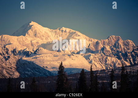 Au début de la lumière du matin sur le mont McKinley, vu de l'état de vue du Parc de Denali, Alaska, Denali State Park Banque D'Images