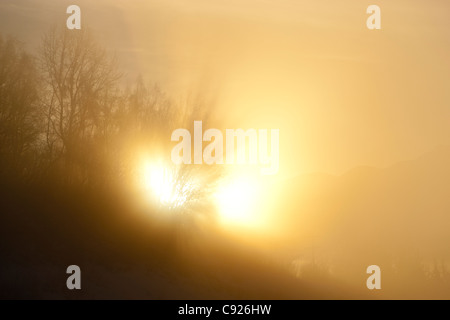 Soleil éclatant à travers le brouillard le long de Turnagain Arm à côté de l'autoroute de Seward, Chugach State Park, hiver, Southcentral Alaska Banque D'Images