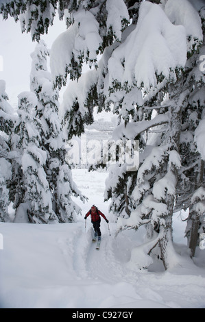 Skieur femme skins jusqu'Tincan Ridge tandis que le ski nordique dans la région de Turnagain Pass, Southcentral Alaska, Winter Banque D'Images