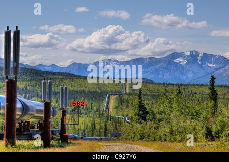 Vue de l'Alyeska Pipeline traversant la forêt du pergélisol le long de la Richardson Highway au nord de Paxson, Alaska, HDR Banque D'Images