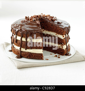 Gâteau au chocolat riche Banque D'Images