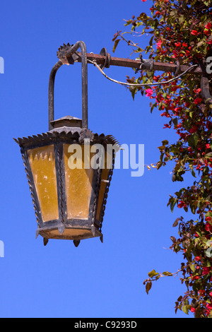 Lampe en fer forgé avec bougainvilliers roses dans la ville de Mdina, Citta Vecchia ou vieille ville. Banque D'Images