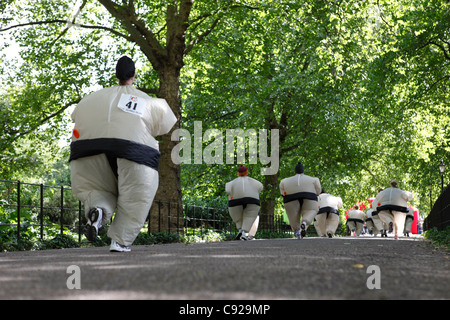 Le Sumo annuel original exécuter sur un week-end de juin, dans Battersea Park, à Londres, en Angleterre Banque D'Images