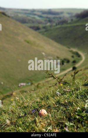 L'oeuf de Pâques concours annuel du matériel roulant, qui a eu lieu le lundi de Pâques Jour férié, Devil's Dyke, West Sussex, Angleterre Banque D'Images