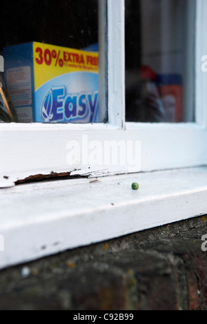 Le monde annuel excentrique jeter Pois Championnats, tenue à la maison publique Armes Lewes, dans la région de Lewes, East Sussex, Angleterre Banque D'Images