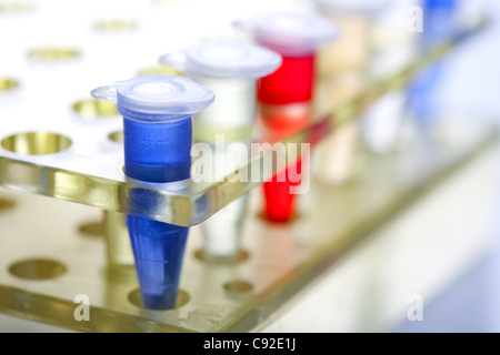 Test tubes disposés en rangées, close-up Banque D'Images