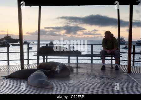 Îles Galápagos Banque D'Images