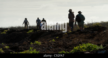 Randonneurs sur une colline, le Prince Philip, Tower Island, Darwin Bay, l'île de Genovesa, îles Galapagos, Equateur Banque D'Images