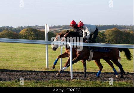 La formation de chevaux de course, Newmarket, Suffolk, Angleterre Banque D'Images