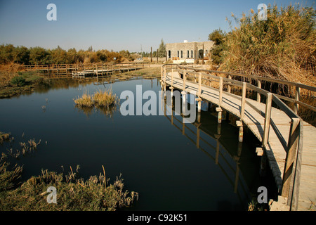 La réserve des zones humides d'Azraq, Azraq, Jordanie. Banque D'Images
