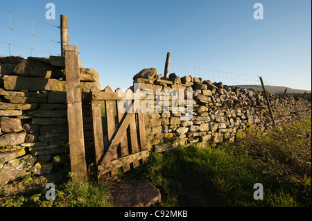 La porte en pierre sèche mur dans le Parc National des Yorkshire Dales England UK Banque D'Images