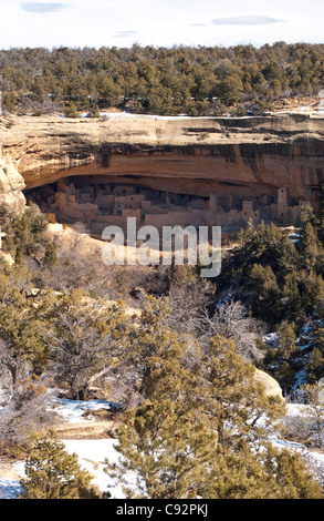 Les Indiens Anasazi, Cliff dwellings, Cliff Palace à Mesa Verde National Park NP, Colorado, USA, ETATS-UNIS, États-Unis d'Amérique Banque D'Images