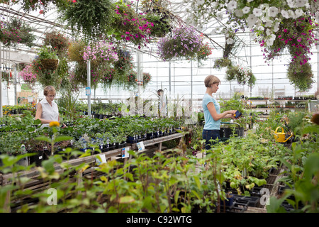 Les gens l'achat d'usines au garden centre Banque D'Images