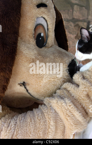 Un costume marionnette chien tenant un chaton Banque D'Images